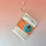 Plant Lady DIY Embroidery Kit