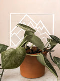Mountains Indoor Plant Trellis